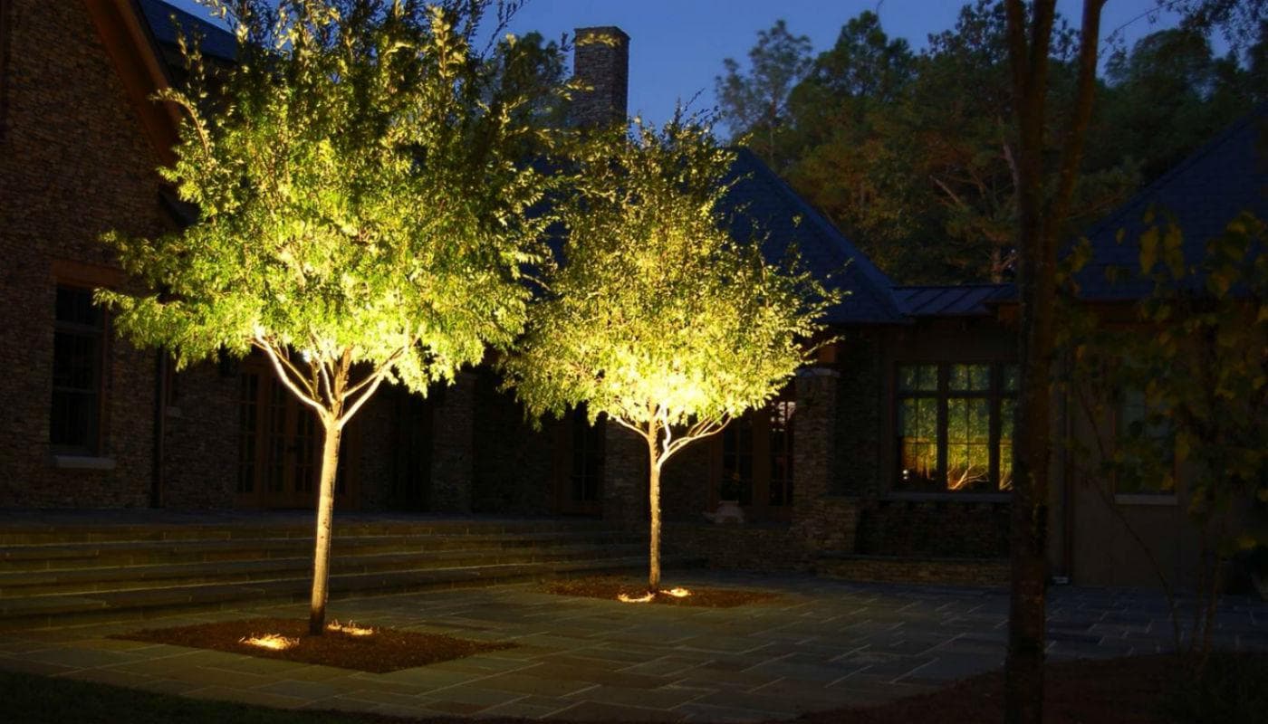 Освещенного снизу. Подсветка лазерная Garden x-33p Светлячок. РГБ подсветка деревьев. Подсвечивание снизу деревьев. Подсветка деревьев прожекторами.