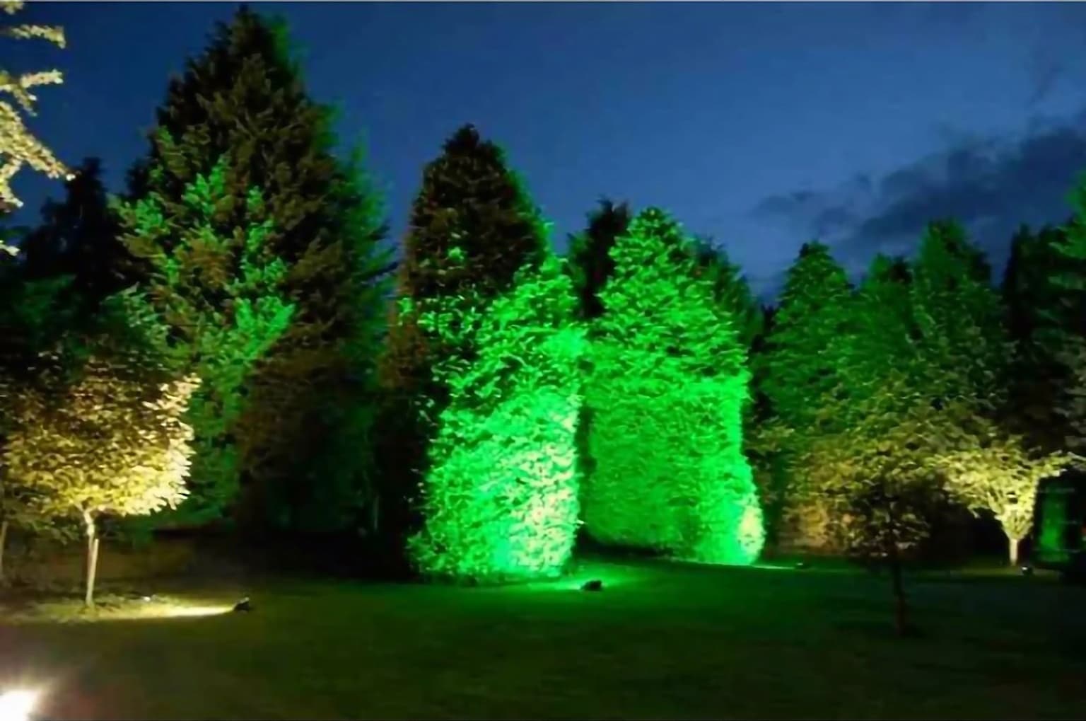 Подсветить зеленым. Подсветка деревьев. Ландшафтная подсветка деревьев. Зеленая подсветка деревьев. Подсветка деревьев прожекторами.