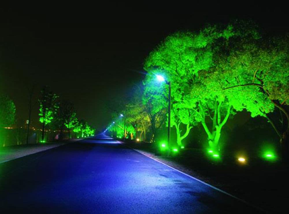 Подсветить зеленым. Прожектор РГБ для подсветки деревьев. Светильный прожектор зеленый свет 10w. Цветная подсветка деревьев. Подсветка деревьев снизу.